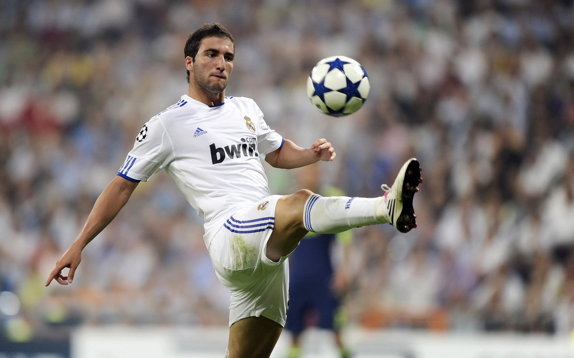 绿茵绝杀与乒乓凯旋，当葡萄牙的坚韧遇见林高远的领袖光芒