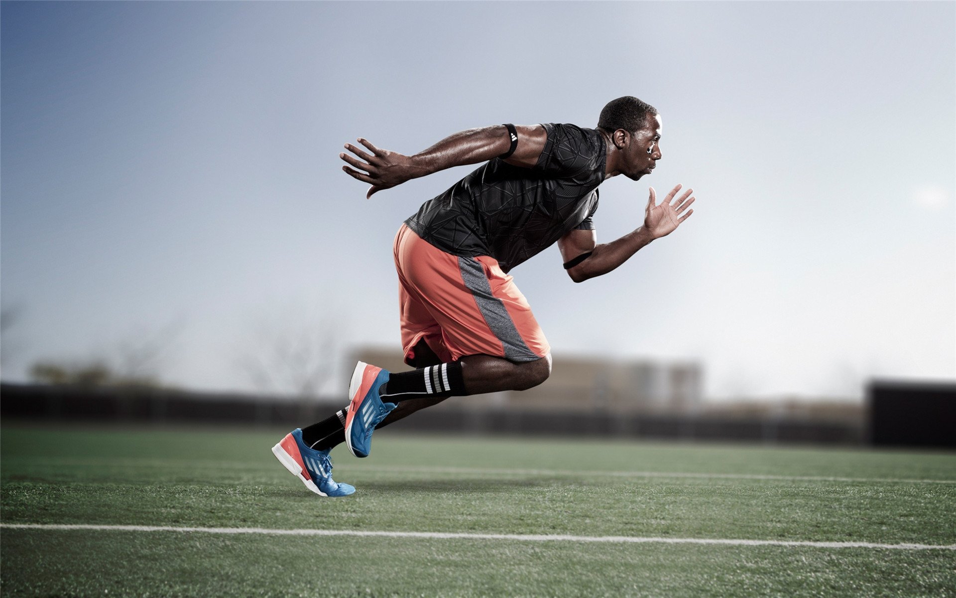 一夜之间，命运翻转，当拉梅洛用三分球粉碎魔术，篮网在废墟中找到了唯一的光